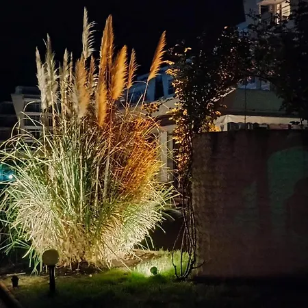 Amelia Слънчев бряг